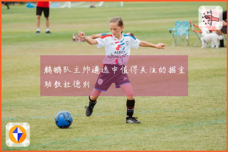 鹈鹕队主帅遴选中值得关注的掘金助教杜德利