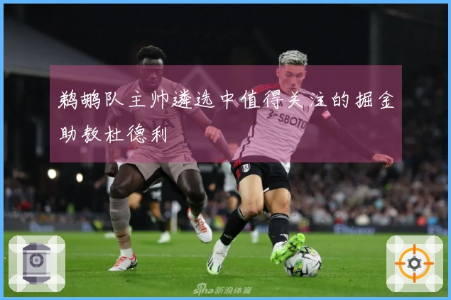 鹈鹕队主帅遴选中值得关注的掘金助教杜德利